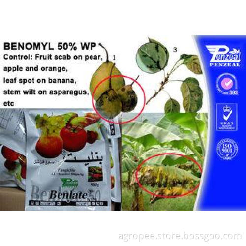 Off - White Powder Protectant Fungicides Benomyl 50% WP 178